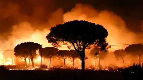 La Junta declara peligro alto de incendios forestales en toda la Comunidad a partir de hoy