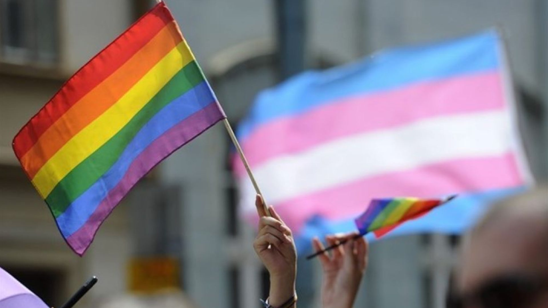 Nueva víctima de la homofobia en Palma: una mujer detenida por pegar e insultar a un hombre por su orientación sexual Nueva víctima de la homofobia en Palma: una mujer detenida por pegar e insultar a un hombre por su orientación sexual