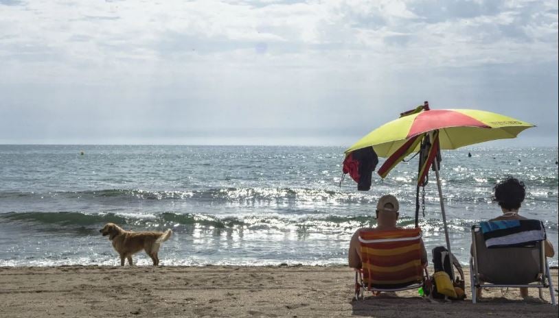 La concejalía de Playas de Alicante apuesta por devolver los servicios a la “Doggy beach” de la Playa de Agua Amarga La concejalía de Playas de Alicante apuesta por devolver los servicios a la “Doggy beach” de la Playa de Agua Amarga