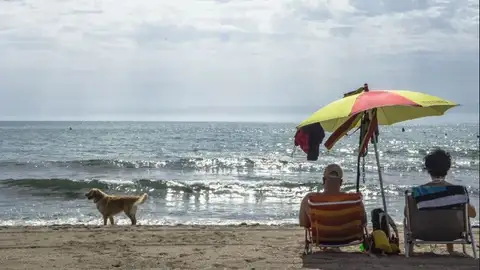 Playa para perros en Aguarmaga-Alicante 