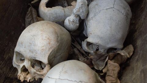 Imagen de archivo de varias calaveras/ Pixabay