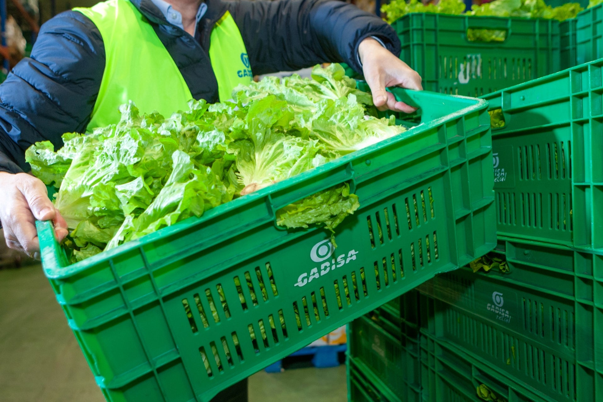 Gadisa Retail realiza compras a produtores locais Gadisa Retail realiza compras a produtores locais