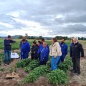 Curso de formación en agricultura que pon en marcha o Inorde en colaboración con Cáritas