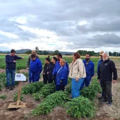 Curso de formación en agricultura que pon en marcha o Inorde en colaboración con Cáritas Curso de formación en agricultura que pon en marcha o Inorde en colaboración con Cáritas