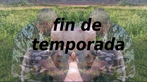 Repaso de la historia del espacio para acabar la temporada