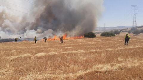 Trabajadores de INFOCAM trabajando en la extinción del incendio de Puertollano