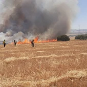 Trabajadores de INFOCAM trabajando en la extinción del incendio de Puertollano Trabajadores de INFOCAM trabajando en la extinción del incendio de Puertollano