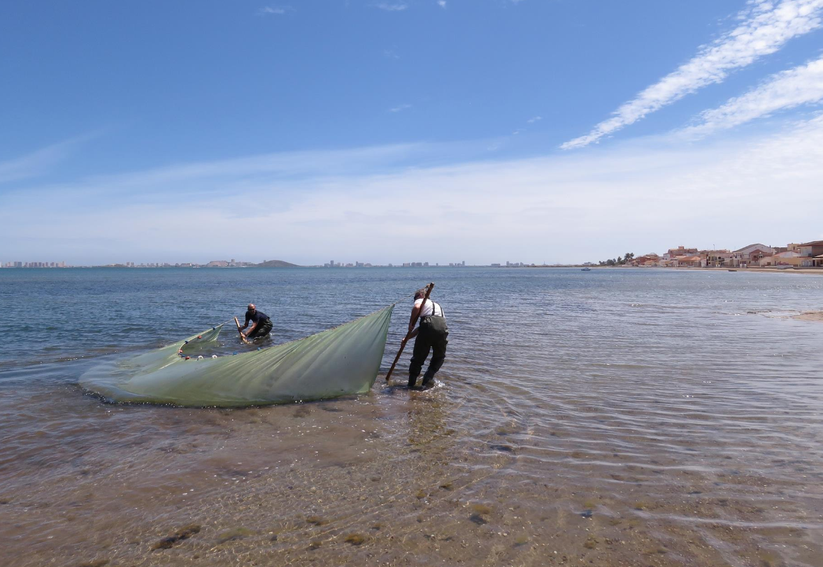 El Constitucional admite el recurso del Gobierno central contra la Ley del Mar Menor El Constitucional admite el recurso del Gobierno central contra la Ley del Mar Menor