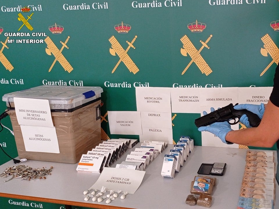 La Guardia Civil detiene a un hombre por cultivar setas alucinógenas y traficar con ellas en Torrevieja La Guardia Civil detiene a un hombre por cultivar setas alucinógenas y traficar con ellas en Torrevieja