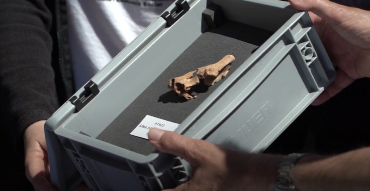 Rosa Huget, coordinadora en Atapuerca: "Ha aparecido un nuevo personaje en la historia de la evolución de Europa" Rosa Huget, coordinadora en Atapuerca: "Ha aparecido un nuevo personaje en la historia de la evolución de Europa"