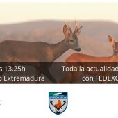 Cartel Caza Verano