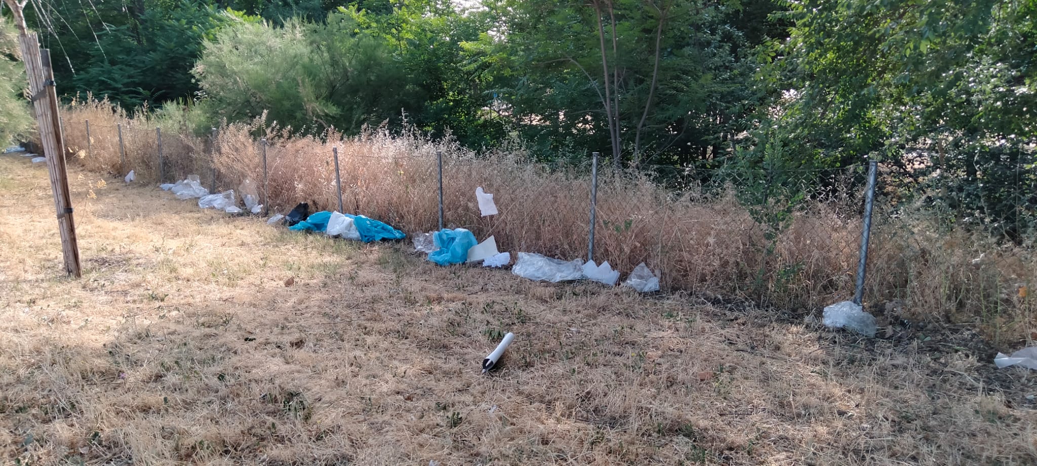 Más de uno Alcalá 11/07/2022 Más de uno Alcalá 11/07/2022