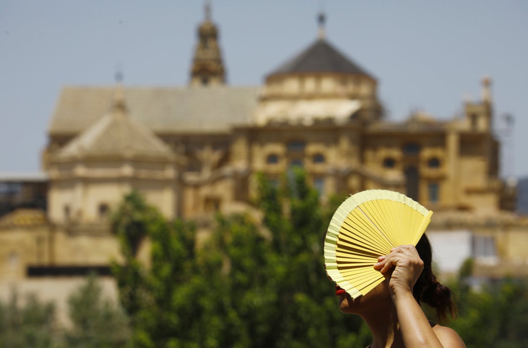 Ola de calor: las provincias en las que hará más de 40 grados esta semana Ola de calor: las provincias en las que hará más de 40 grados esta semana