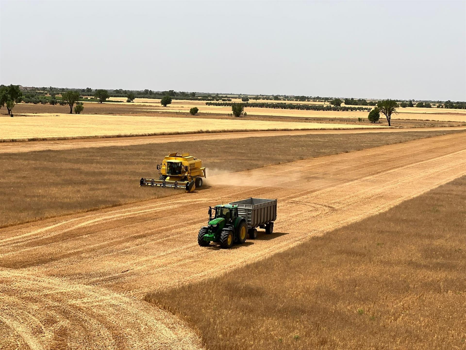 El cambio climático afecta al campo segoviano El cambio climático afecta al campo segoviano