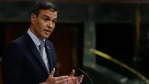 Pedro Sánchez interviene durante el Debate sobre el Estado de la Nación
