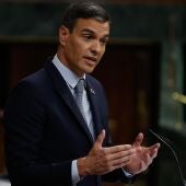 Pedro Sánchez interviene durante el Debate sobre el Estado de la Nación