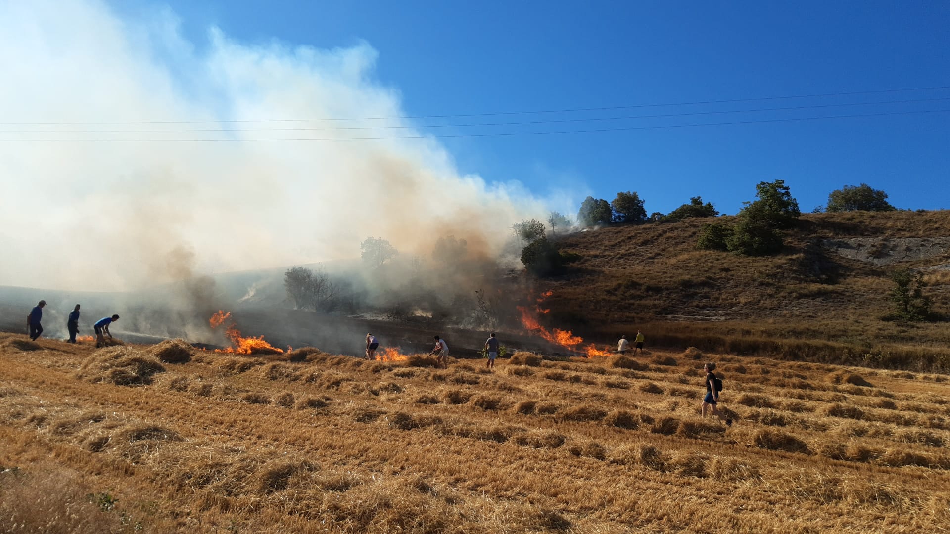 Los agricultores alaveses rechazan prohibiciones que les impidan cosechar durante la ola de calor Los agricultores alaveses rechazan prohibiciones que les impidan cosechar durante la ola de calor