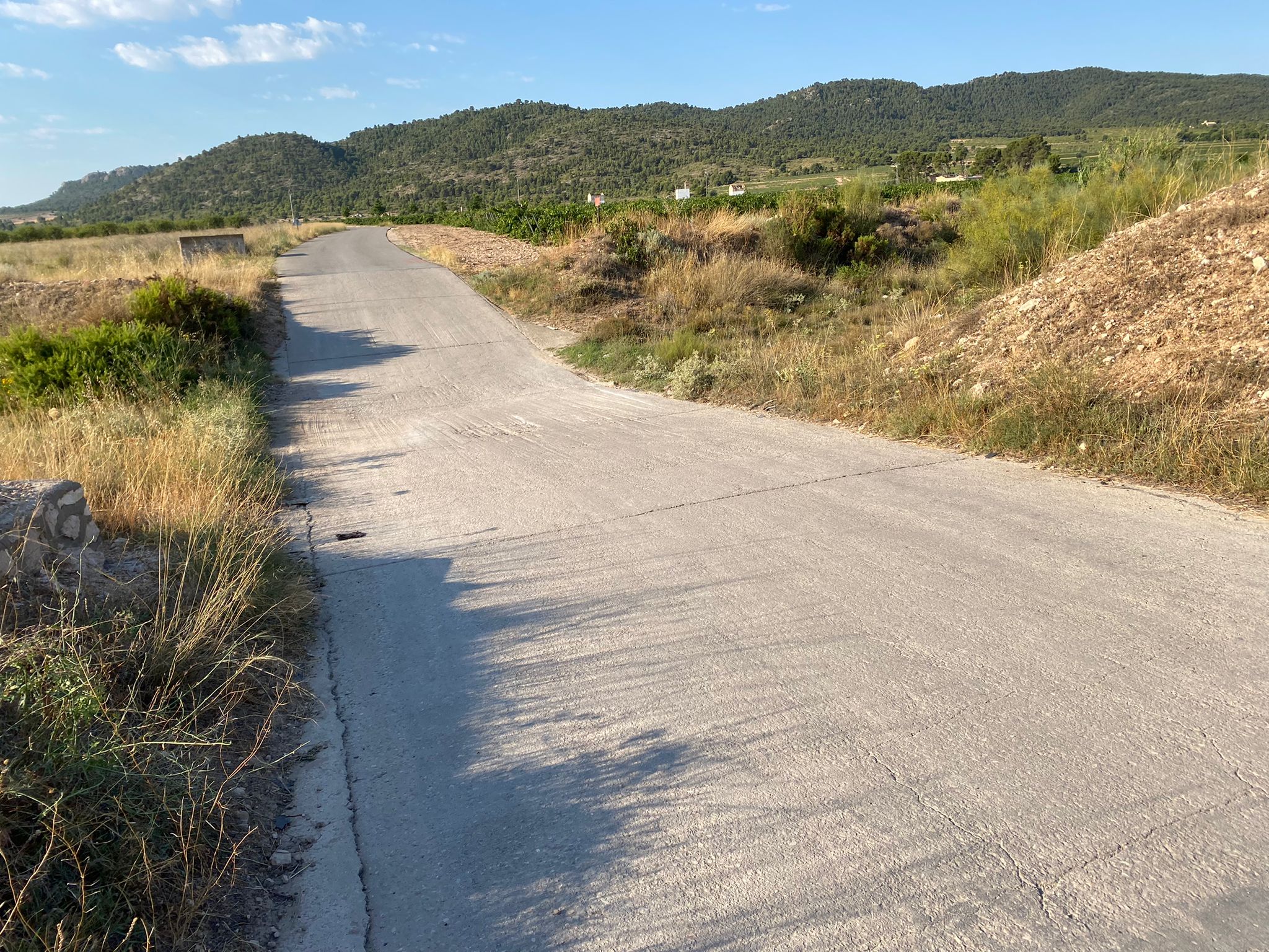 Comienzan las obras de mejora del camino entre Villena y Salinas Comienzan las obras de mejora del camino entre Villena y Salinas