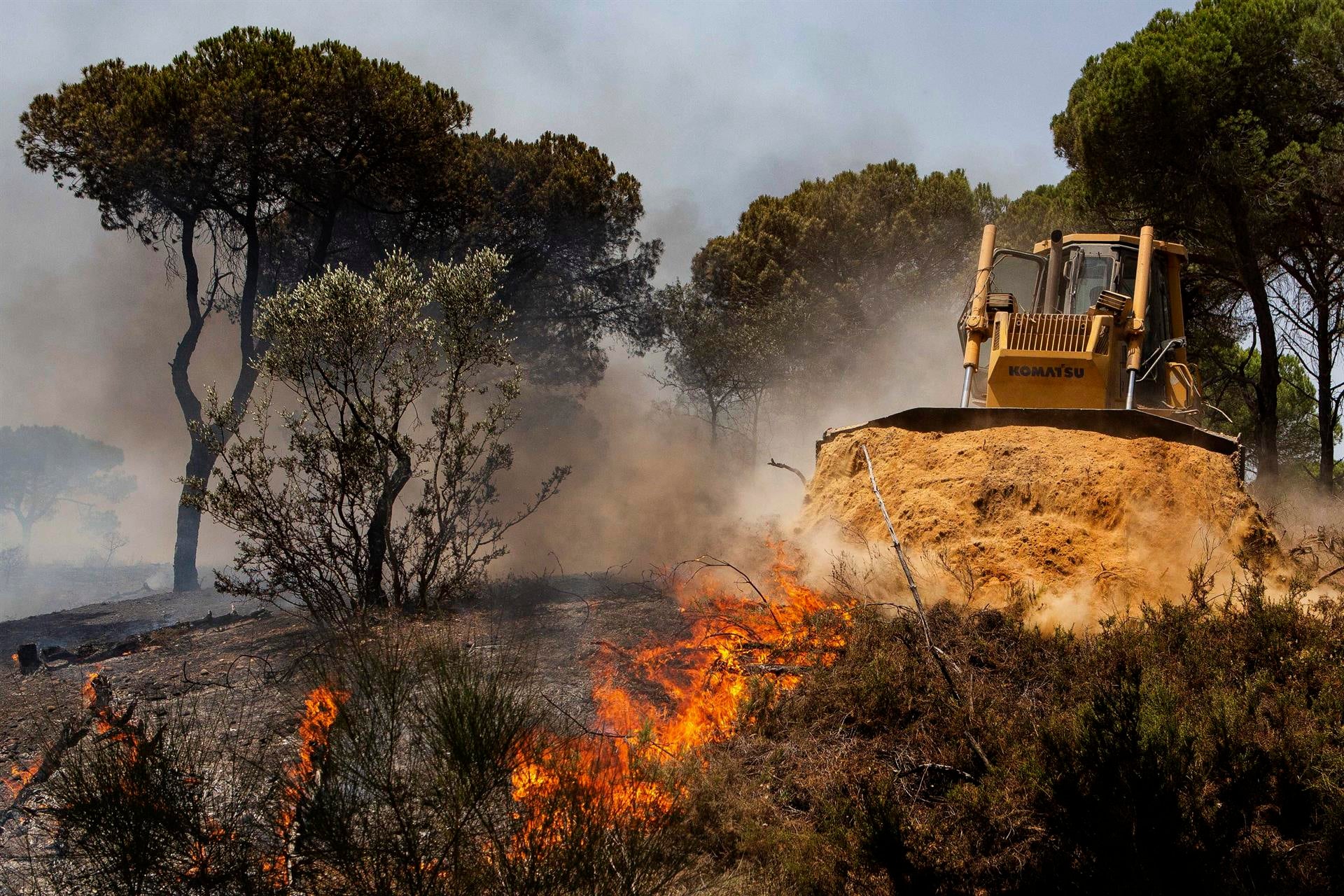 ¿Qué se puede hacer en invierno para prevenir los incendios forestales que se inician verano? ¿Qué se puede hacer en invierno para prevenir los incendios forestales que se inician verano?