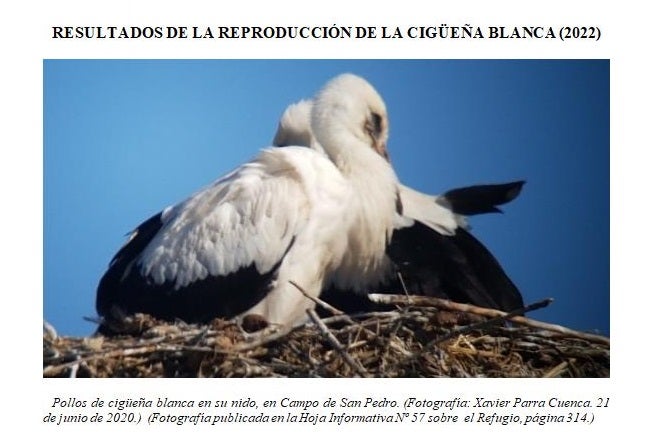 El entorno del Refugio de rapaces de Montejo de la Vega cuenta con 102 nidos de cigüeña El entorno del Refugio de rapaces de Montejo de la Vega cuenta con 102 nidos de cigüeña