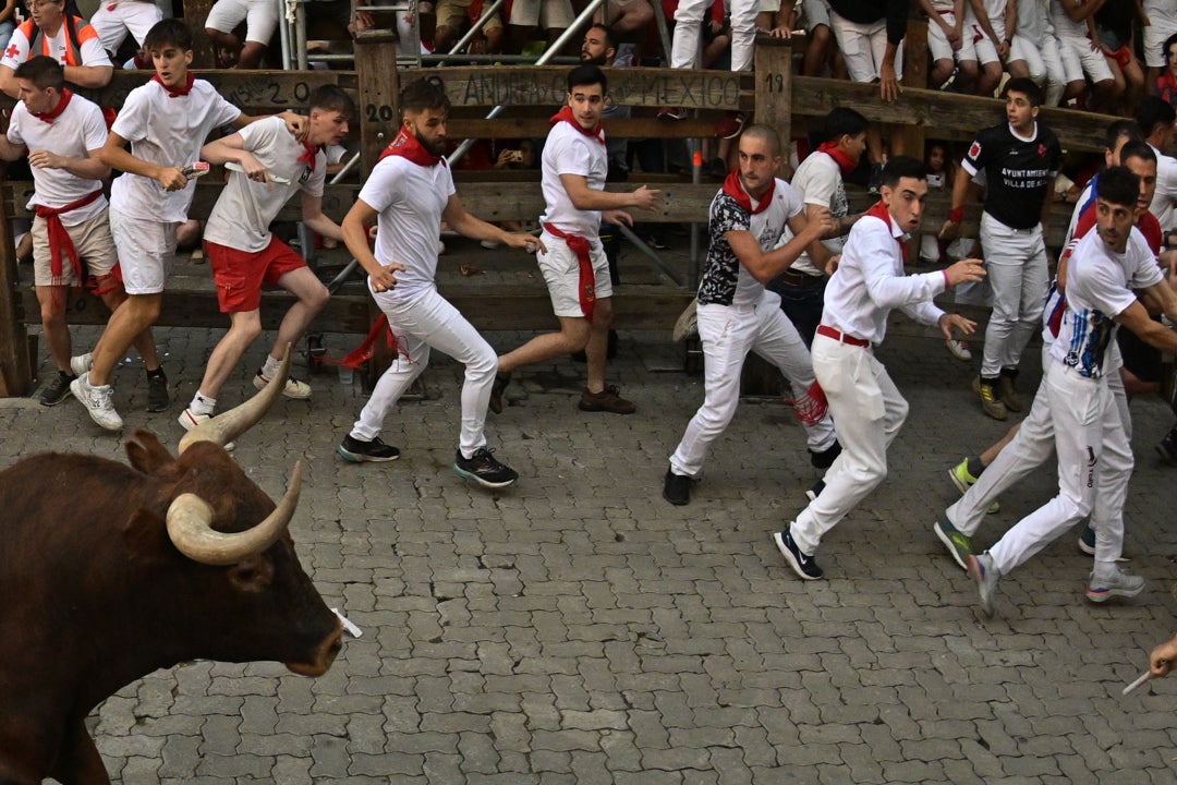 Unos fugaces toros de la ganadería sevillana de Miura cierran los encierros de los Sanfermines 2022 Unos fugaces toros de la ganadería sevillana de Miura cierran los encierros de los Sanfermines 2022