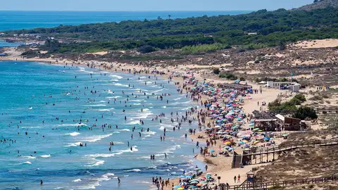 Imagen de archivo de la playa de los Arenales del Sol de Elche. Imagen de archivo de la playa de los Arenales del Sol de Elche.