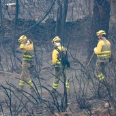 El incendio en Las Hurdes mantiene una evolución "incierta" tras varias reproducciones durante la noche ya atajadas El incendio en Las Hurdes mantiene una evolución "incierta" tras varias reproducciones durante la noche ya atajadas