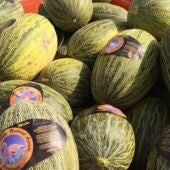 Melones de Carrizales con su etiqueta diferenciadora