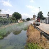 Fumigación Carcaixent