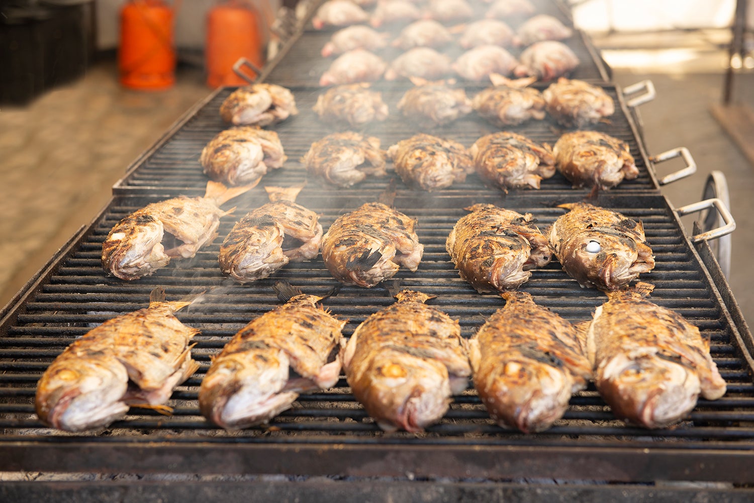 La Fiesta del Besugo convierte Orio en una gran parilla La Fiesta del Besugo convierte Orio en una gran parilla