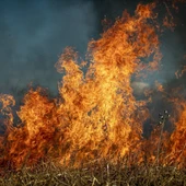 El riesgo de incendios en extremo en los próximos días El riesgo de incendios en extremo en los próximos días
