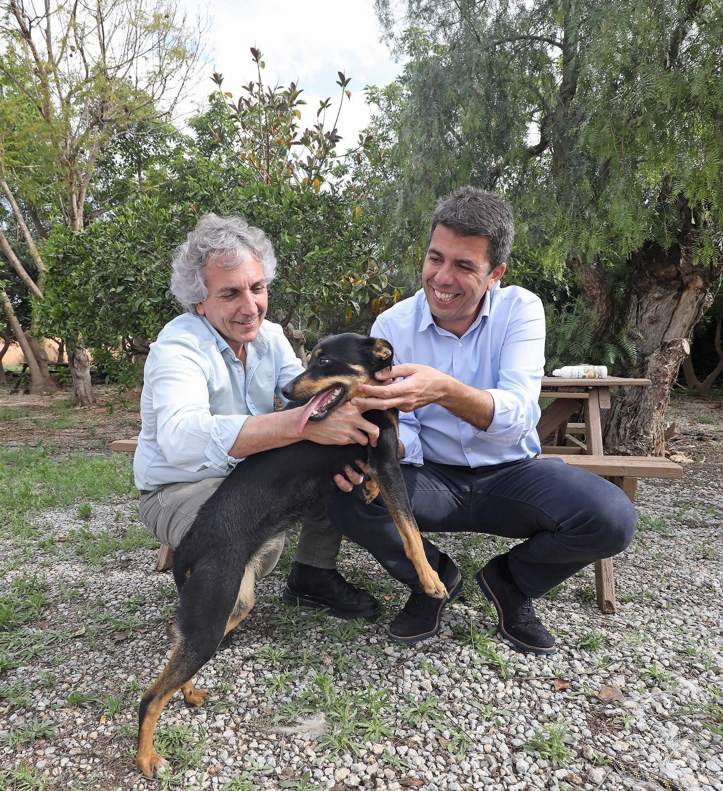 La Comunitat Valenciana se marca como objetivo ser pionera en 'bienestar animal y abandono cero' La Comunitat Valenciana se marca como objetivo ser pionera en 'bienestar animal y abandono cero'