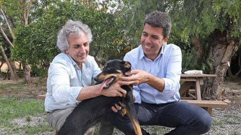 Protecci&oacute;n animal