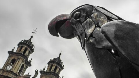 Loro Ravachol, en Pontevedra