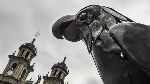 Loro Ravachol, en Pontevedra Loro Ravachol, en Pontevedra