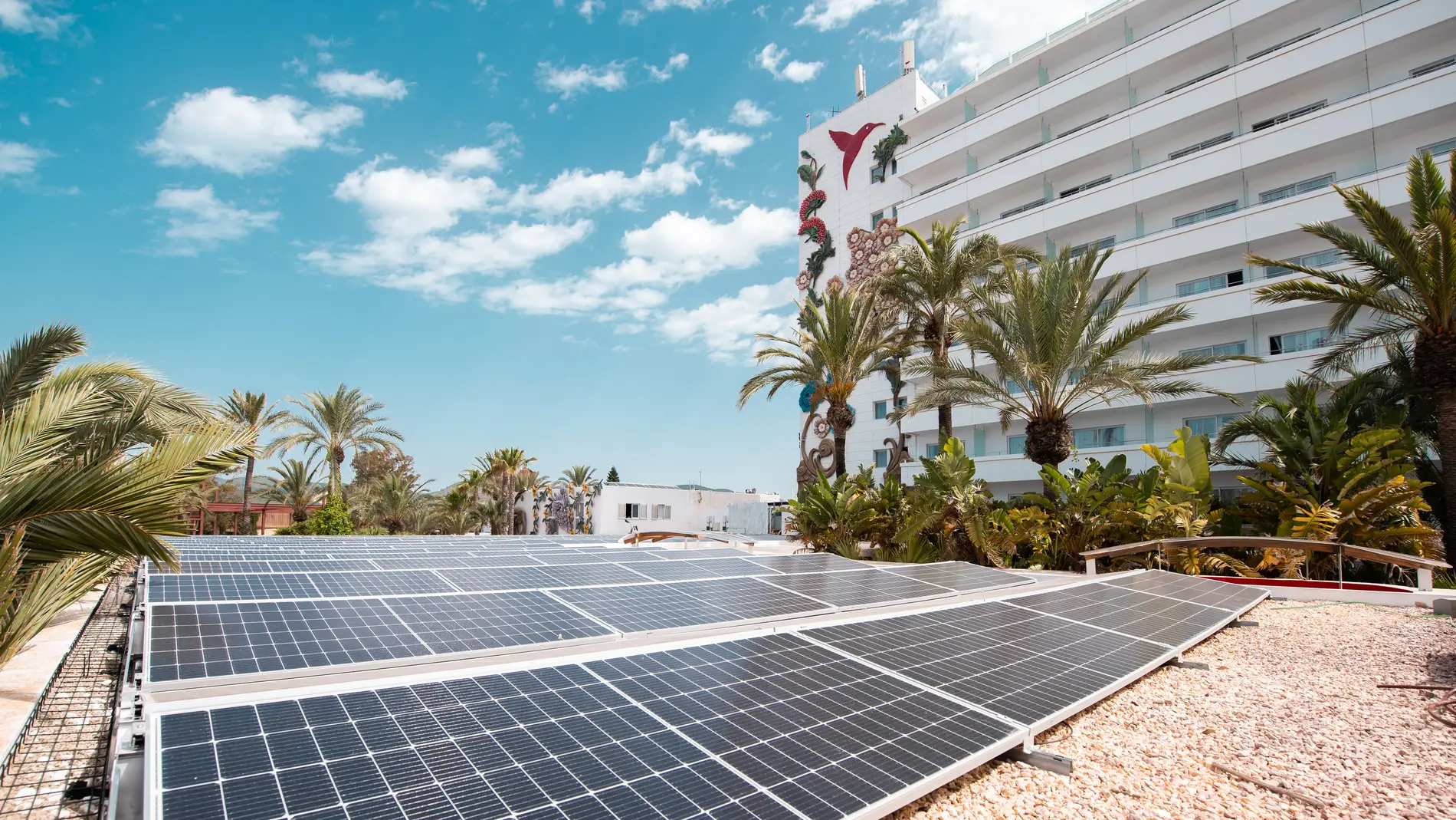 Palladium Hotel Group afianza su compromiso con la sostenibilidad, las energías renovables y el producto local