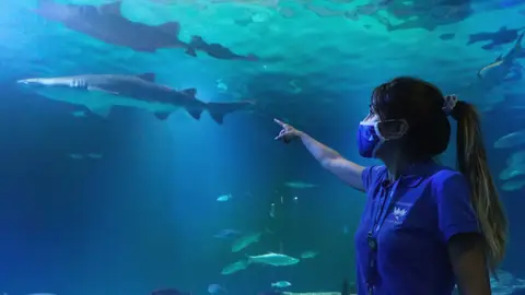 L'Oceanogràfic L'Oceanogràfic