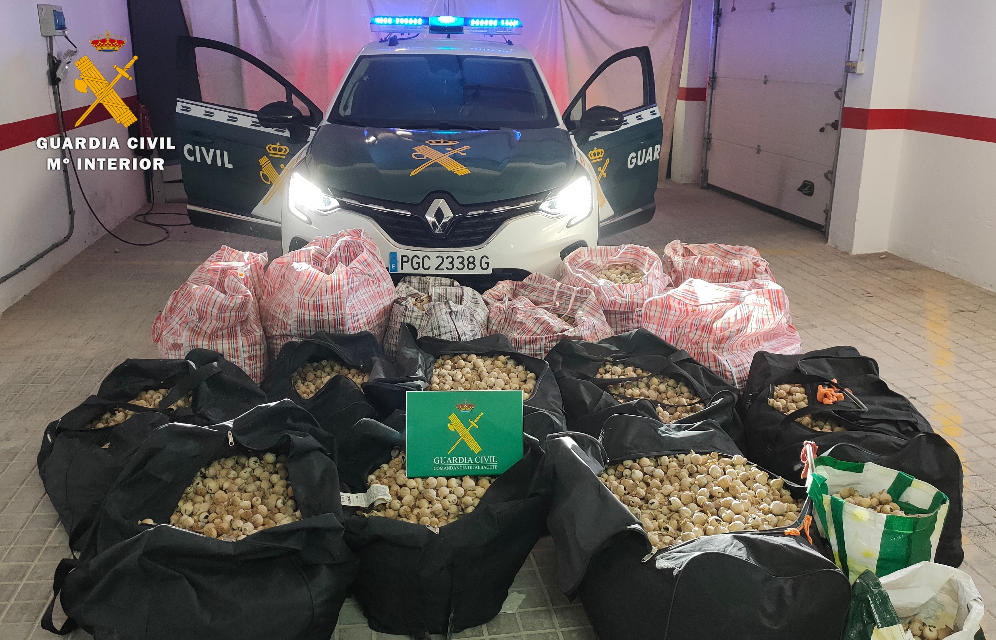 Detenidas 16 personas que robaban y vendían cápsulas de adormidera en La Roda y Barrax Detenidas 16 personas que robaban y vendían cápsulas de adormidera en La Roda y Barrax