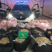 Detenidas 16 personas que robaban y vendían cápsulas de adormidera en La Roda y Barrax