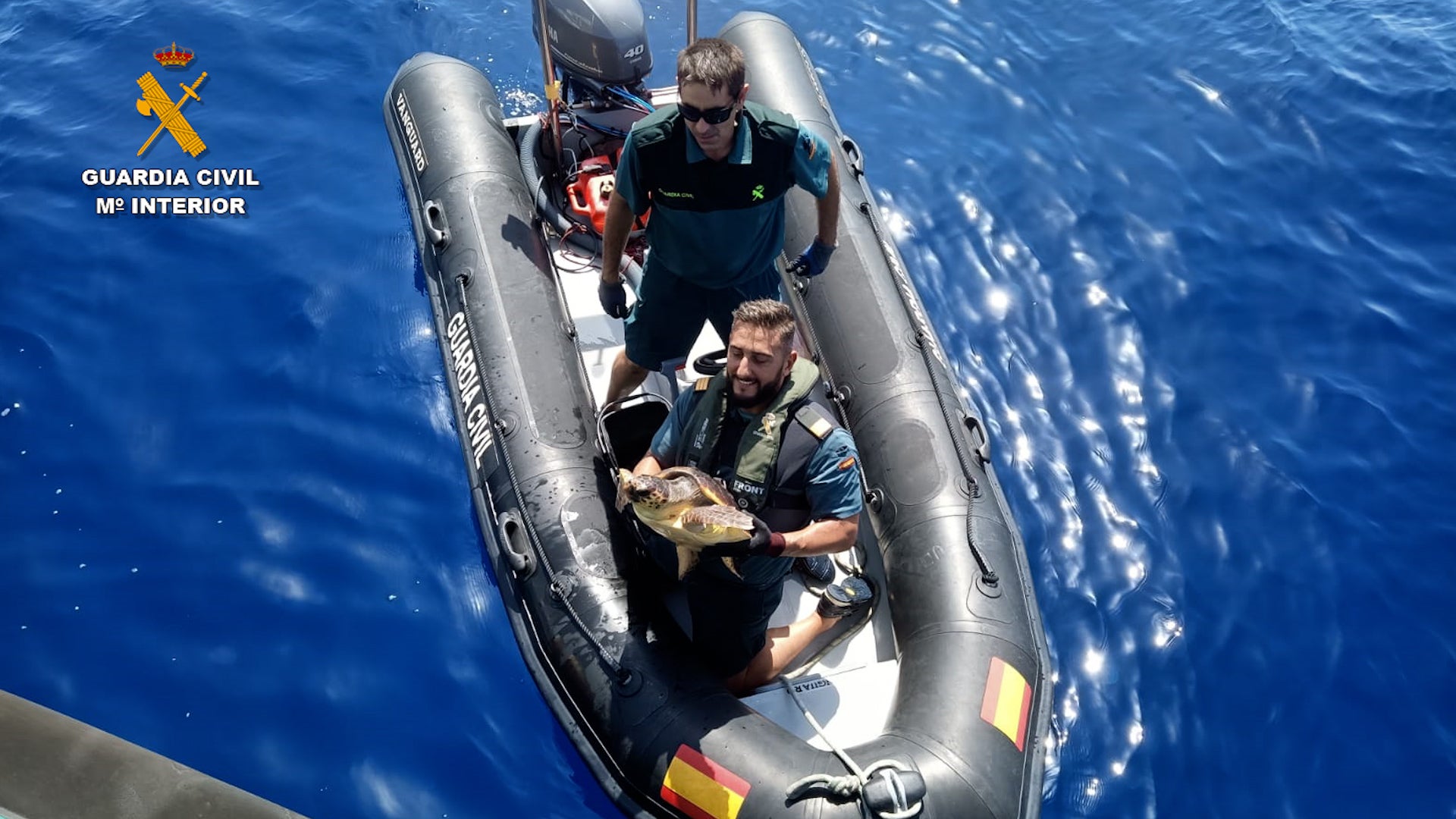 La Guardia Civil de Alicante rescata a una tortuga boba atrapada en una baliza ilegal en Tabarca La Guardia Civil de Alicante rescata a una tortuga boba atrapada en una baliza ilegal en Tabarca