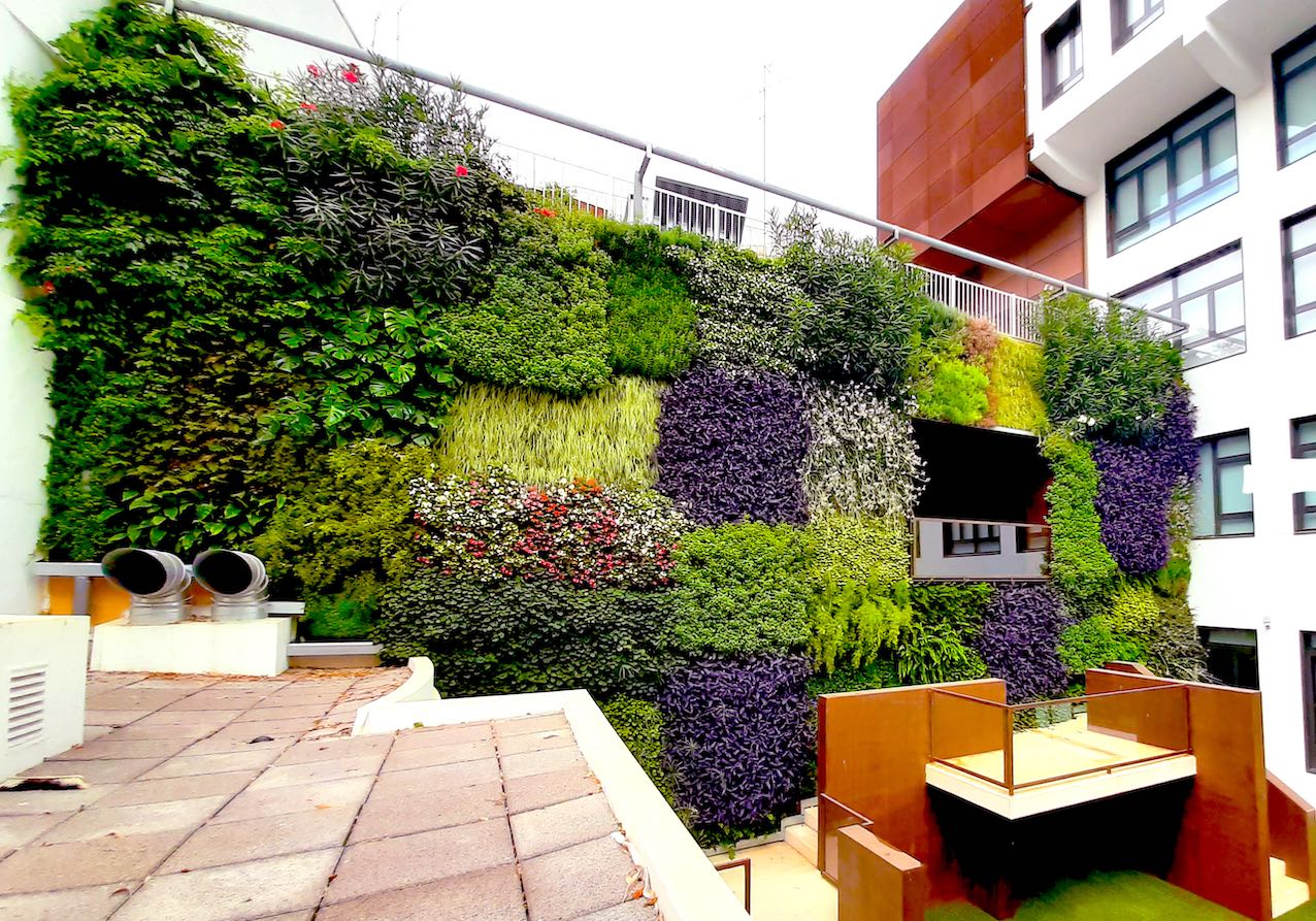 El jardín vertical del CEU produce oxigeno para 120 estudiantes al año El jardín vertical del CEU produce oxigeno para 120 estudiantes al año