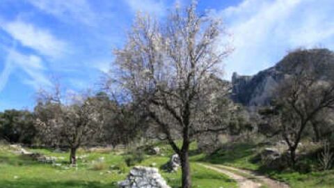 Geoparque de la Subb&eacute;tica