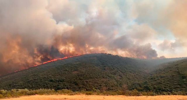 Dan por controlado el incendio forestal de Malagón Dan por controlado el incendio forestal de Malagón