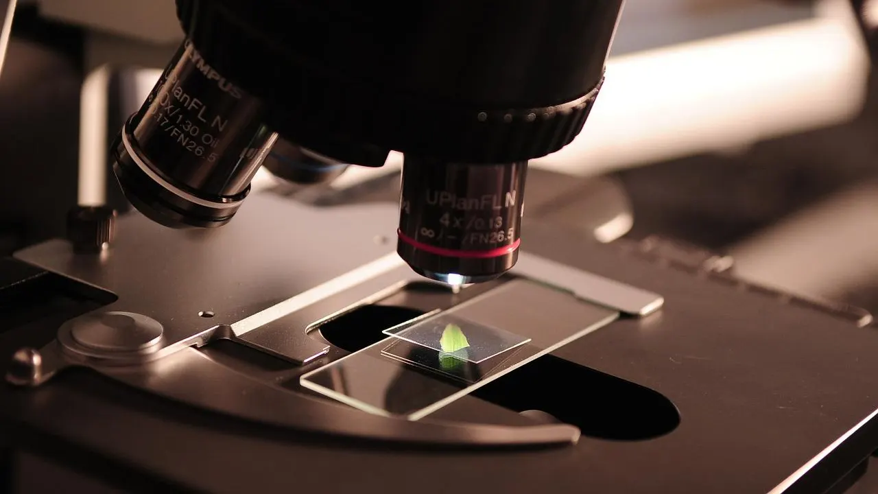 Cuáles son las diferencias entre el SIDA y el virus del VIH