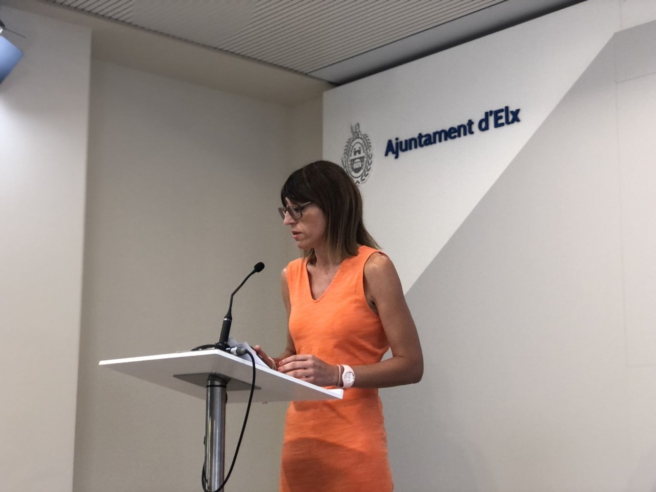 El Ayuntamiento de Elche bonificará a 2.938 ilicitanos para afrontar el pago del IBI El Ayuntamiento de Elche bonificará a 2.938 ilicitanos para afrontar el pago del IBI