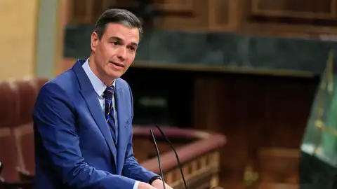 Pedro Sánchez, en el Congreso de los Diputados. Pedro Sánchez, en el Congreso de los Diputados.