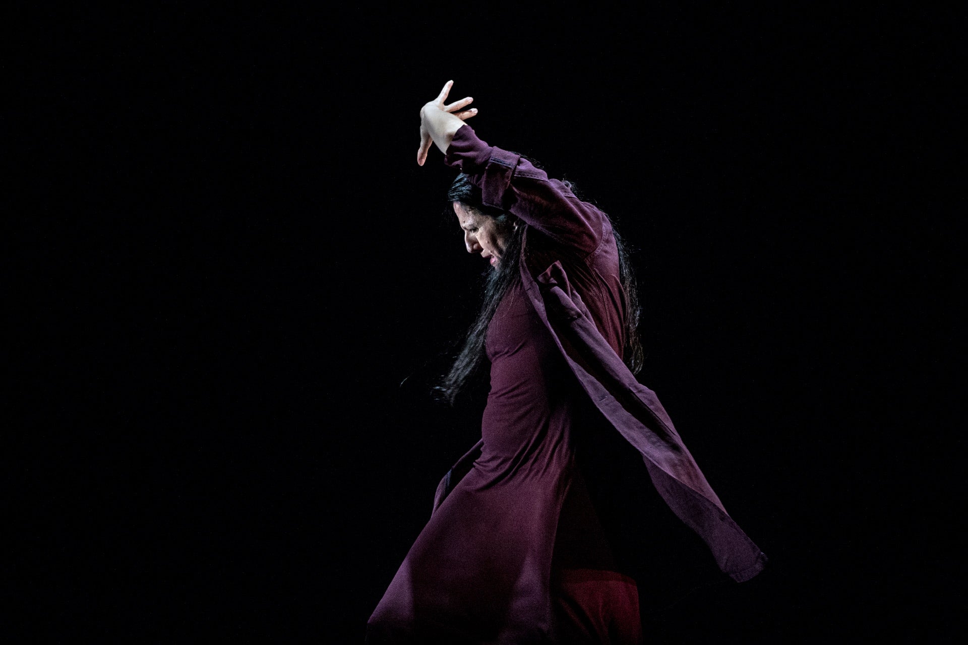 El flamenco y la danza flamenca como profesión de profesiones El flamenco y la danza flamenca como profesión de profesiones