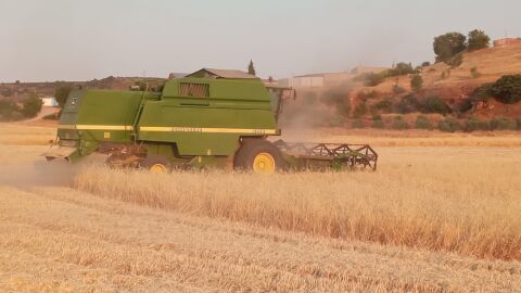 Trabajos agrícolas cosecha de cereal