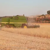 Trabajos agrícolas cosecha de cereal Trabajos agrícolas cosecha de cereal