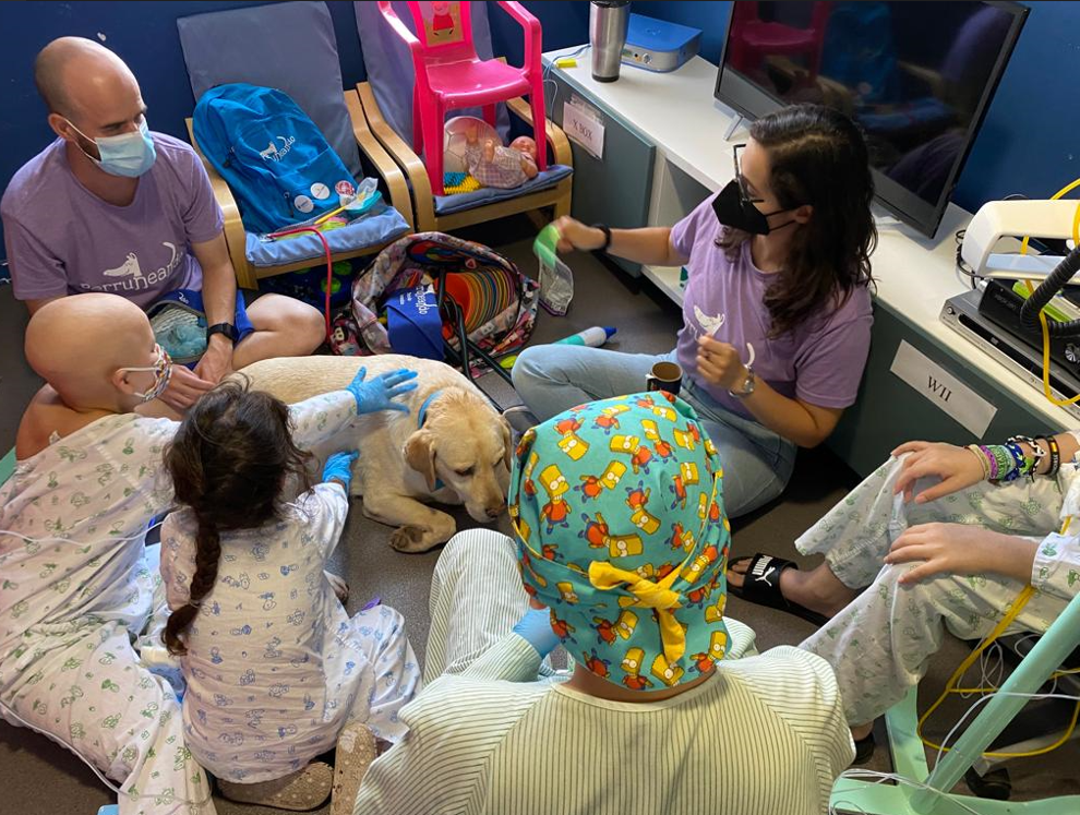 El Hospital Reina Sofía desarrolla una terapia con animales para adolescentes con trastornos alimentarios El Hospital Reina Sofía desarrolla una terapia con animales para adolescentes con trastornos alimentarios